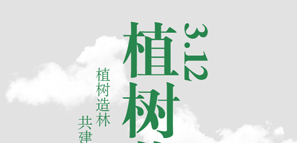 携手并肩，共建美好生活封面图