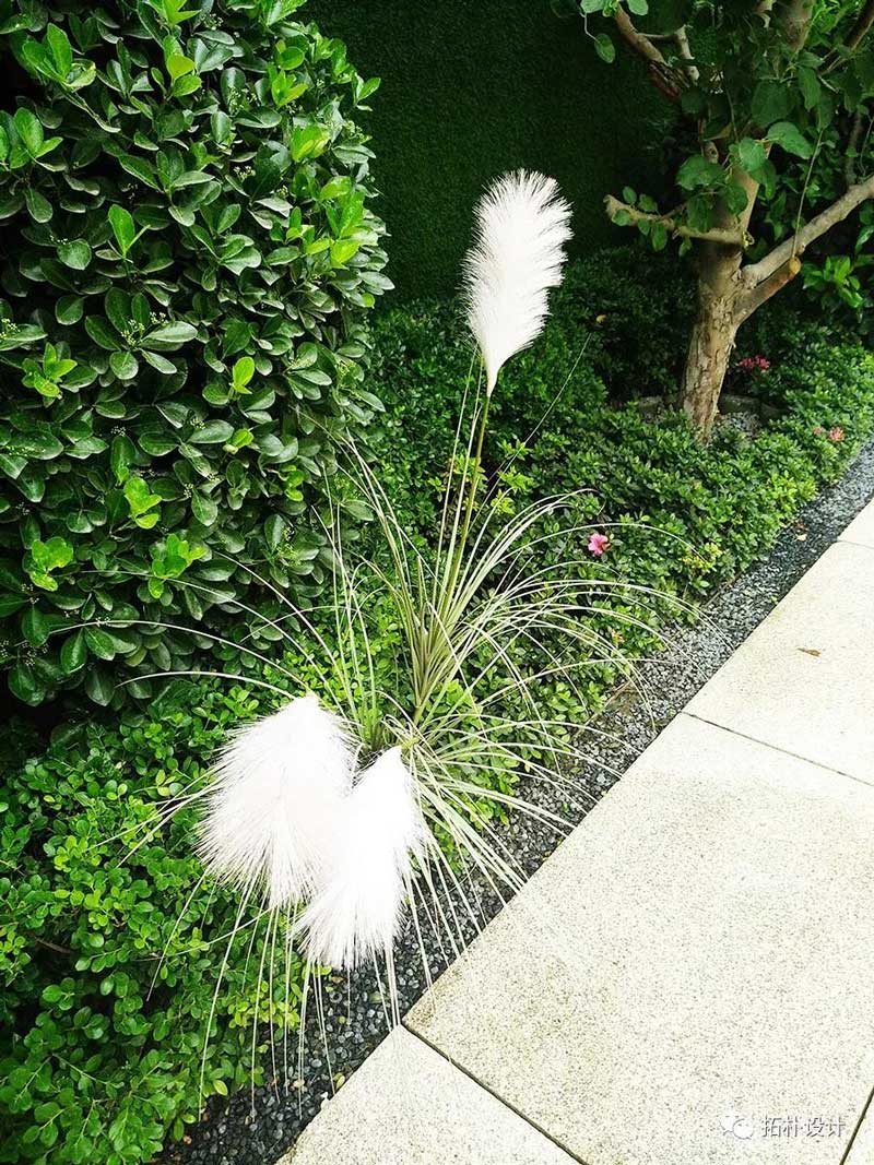 考察季|研学郑东新区正文图片 12