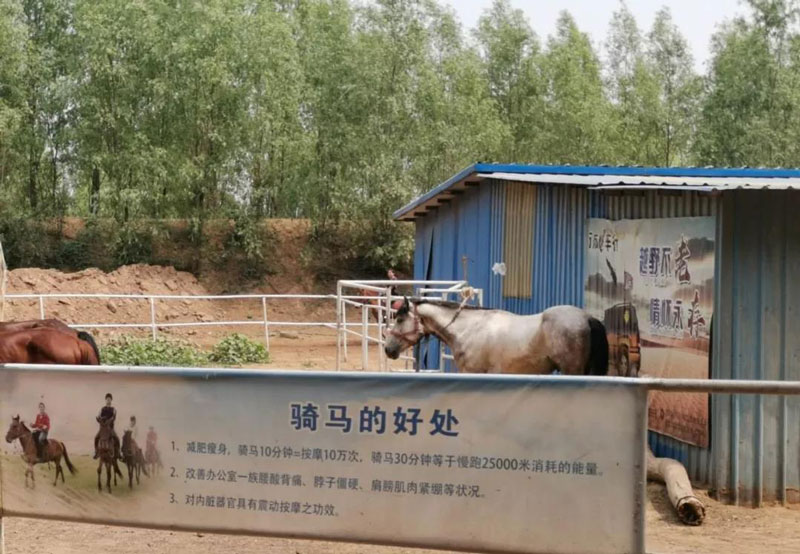 团建|马不停蹄奔前方 拓朴精神美名扬!正文图片 1