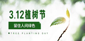 办公室环保，开启绿色新生活